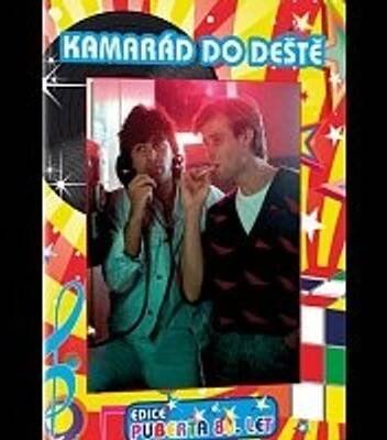 Kamarád do deště DVD