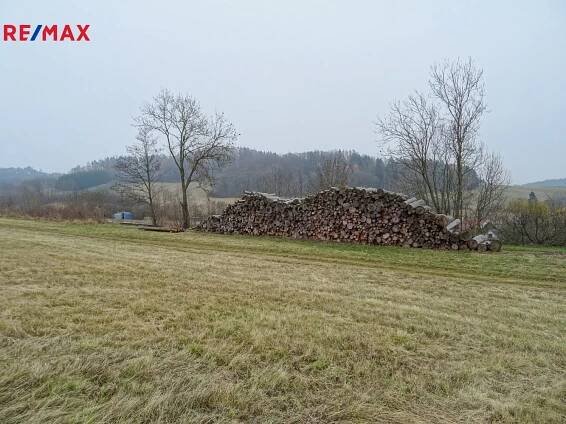 Prodej Pozemek, Chlumy, okres Plzeň-Jih