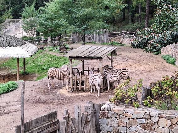ZOO Jihlava - Oficiální stránky Základní školy Vrdy