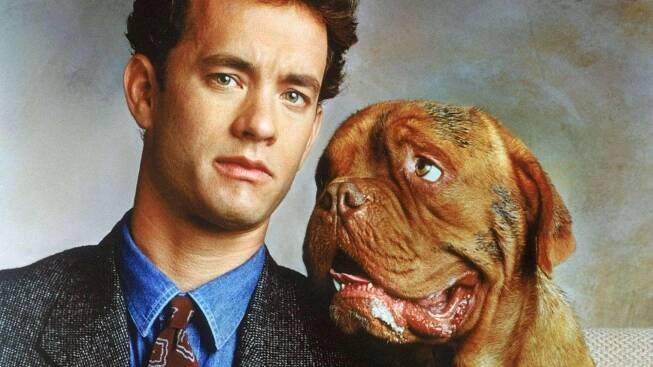 Turner a Hooch – Filmy a Seriály online zdarma.