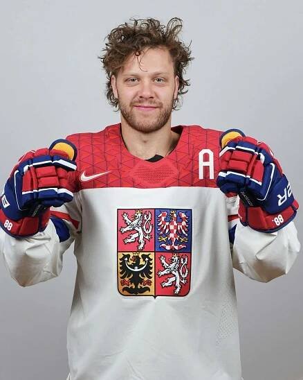 David Pastrňák