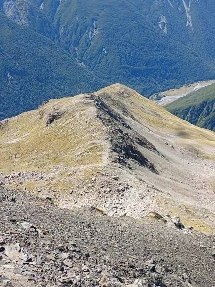 Avalanche Peak summer trip – Hiking Is Good