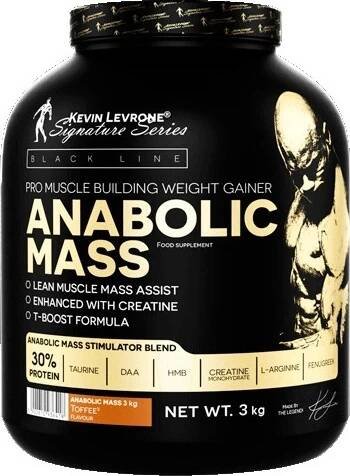 Kevin Levrone ANABOLIC MASS 3000 g