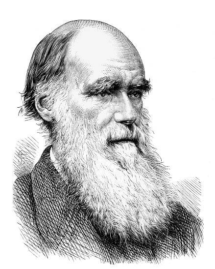 Jak to bylo s evolucí? Rukopisy Charlese Darwina zveřejněny online | cdr.cz