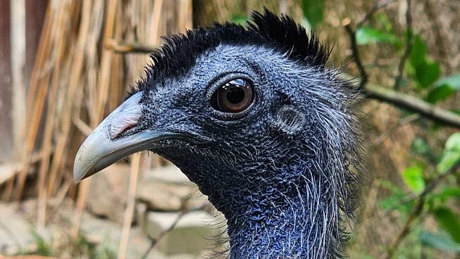 Na návštěvě Zoo Košice, největší zoologické zahrady v Evropě – Ararauna.cz