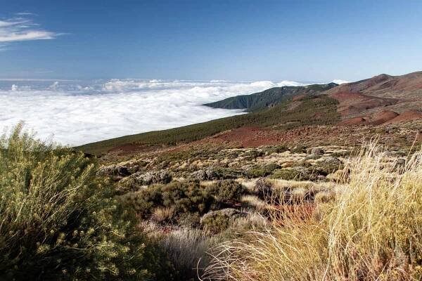 Ausblick vom Pico del Teide auf die Vulkanlandschaft