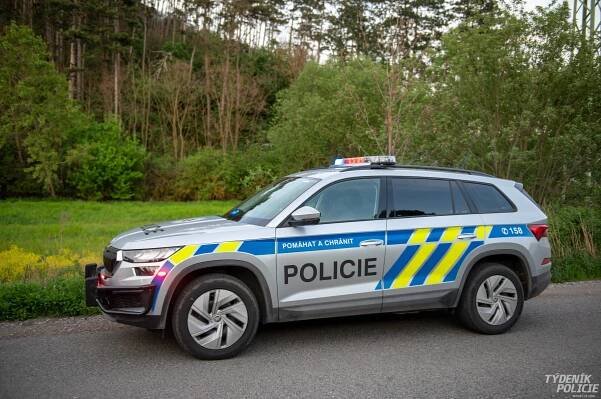Horkovzdušný balón přistál na Berounsku v korunách stromů. Pětičlenná posádka vyvázla bez zranění | Týdeník Policie