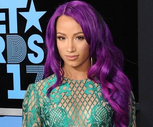 Sasha Banks Biography - Facts, Childhood, Family Life & Achievements