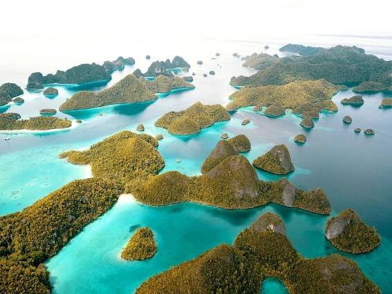 Raja Ampat Dive Lodge - The Most Diverse Reefs in The World