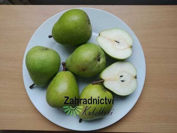 Jabloně, hrušně a kdouloně