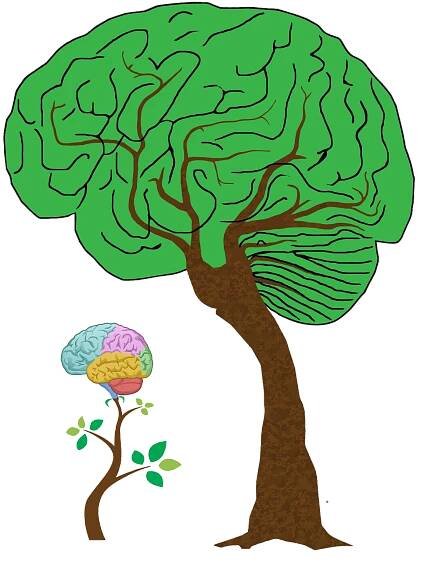 Neurotree_pruhledny