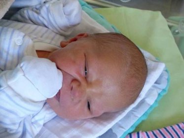 Matyáš Jeník se narodil 12. února 2022 v kolínské porodnici, vážil 3725 g a měřil 50 cm. Do Habrkovic odjel s maminkou Michaelou a tatínkem Patrikem.