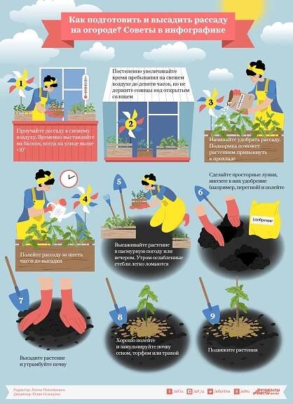 Infografika
