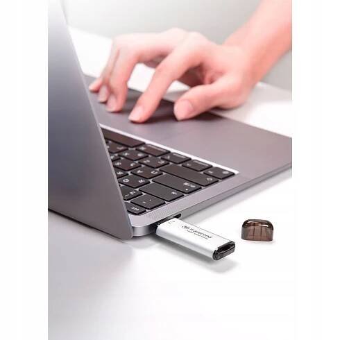 Transcend SSD ESD300S 1TB USB-C stříbrný Druh disku SSD