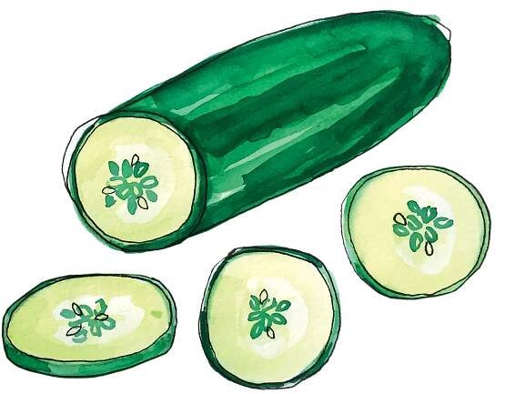cucumber_june2018_lyndsay.png