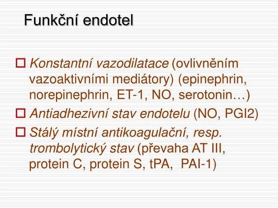 PPT - Kardiovaskulární systém PowerPoint Presentation, free download - ID:4071374