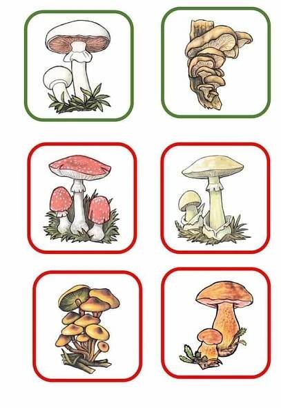 Preschool Puzzles with Mushroom Patterns