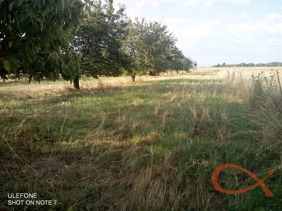 Bohuslavice, okres Prostějov