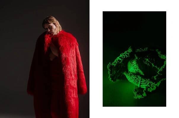 Interview with Elena Radonicich: 'Things that happen to others' – The Italian Rêve