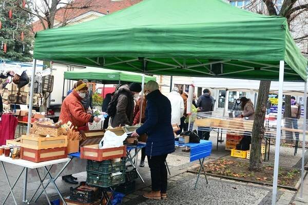 V Lounech chystají vánoční Dovalte na Vale, trhy a rozsvícení stromu
