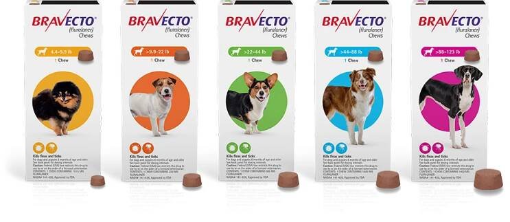 Veterinární klinika