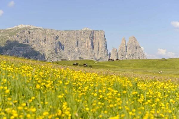 Alpe di Siusi - the largest high alpine pasture in Europe