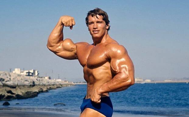 Get Bigger Arms in 3 Months: The Only 6 Exercises You Need – Fitness Volt