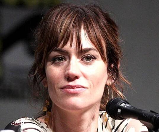 Maggie Siff Biography - Facts, Childhood, Family Life & Achievements