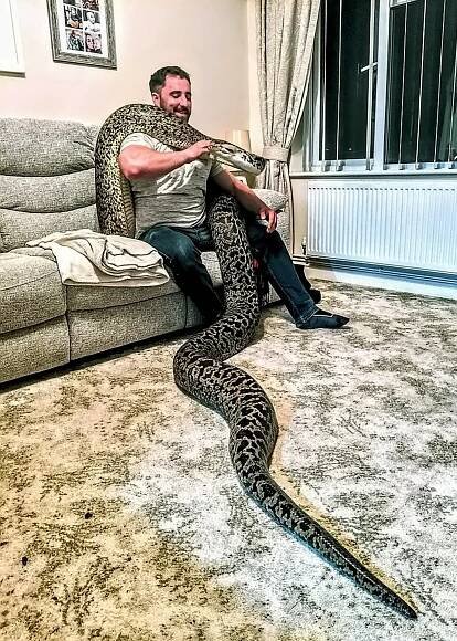 Největší barmský python na světě 1