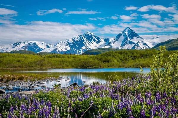 Pederson Lagoon at Kenai Fjords Glacier Lodge