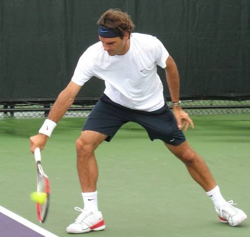 Soubor:Federer Roger.jpg
