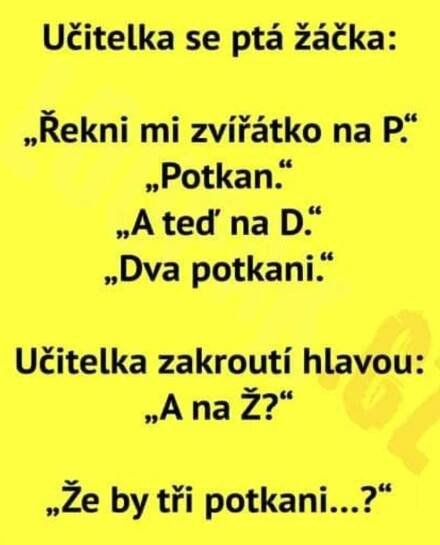Funny Yellow Sign