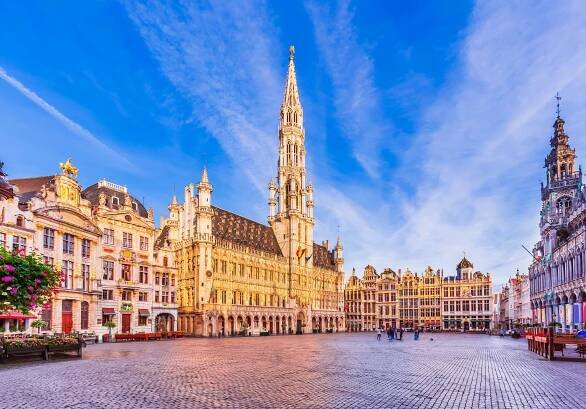 Belgium City Campaigns - Plant Based Treaty