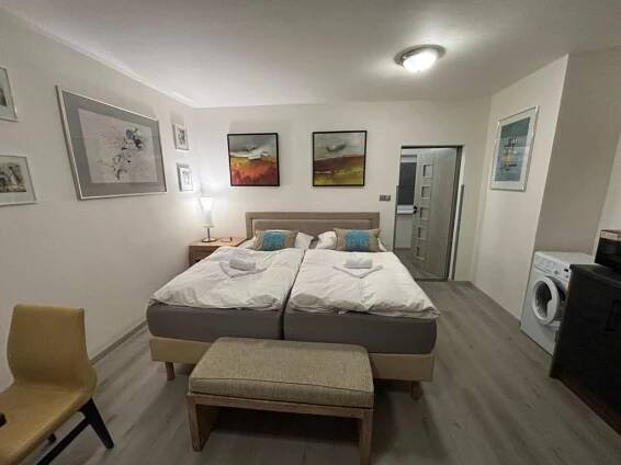 Postel nebo postele na pokoji v ubytování Apartments Gato Karlovy Vary Jenišov