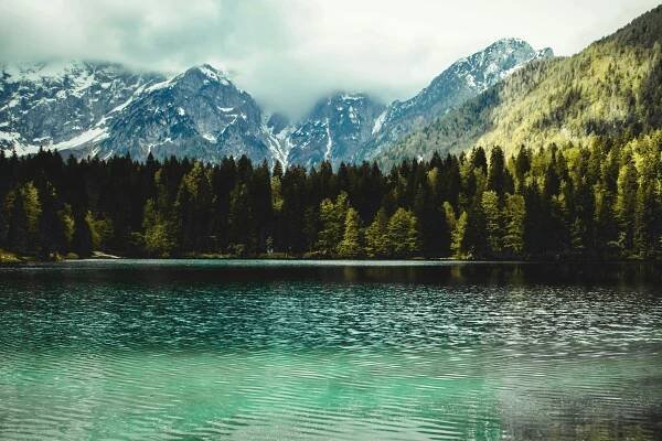 Wilderness