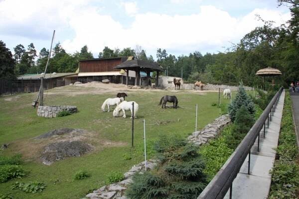 Liberec - ZOO - Harrachov Info