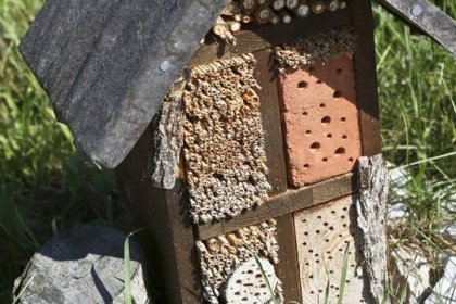 Včelí úly, hmyzí hotely, luční kvítí tam, kde by to Pražané nečekali: Střechy pražských vodojemů ožívají