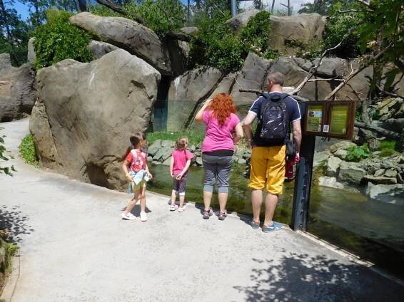 Výlet dětí MŠ a rodičů – ZOO Brno – Základní škola a Mateřská škola Žďárná
