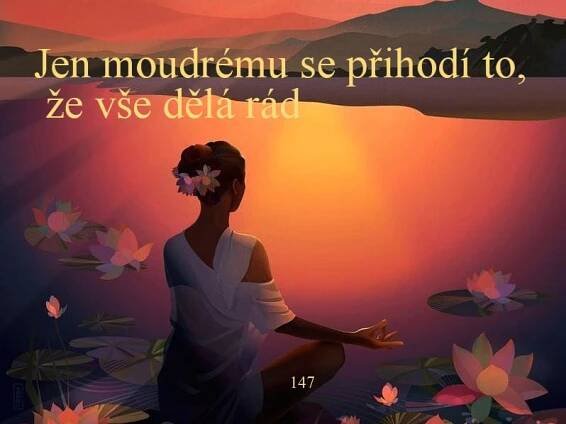 K zamyšlení - citáty a inspirace 147