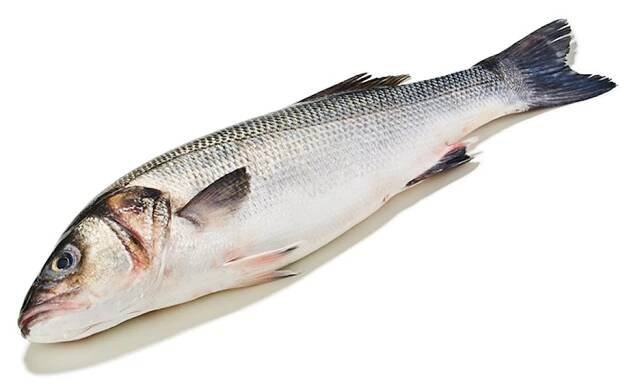 Ryby 🐟 | Moře Ryb | Wolt