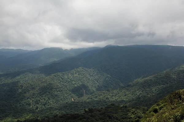 Monteverde: la tête dans les nuages (Costa Rica)