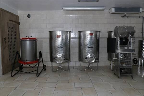 Het domein – Wijndomein De Oude Hoeve