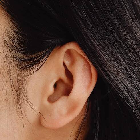 Heard ear