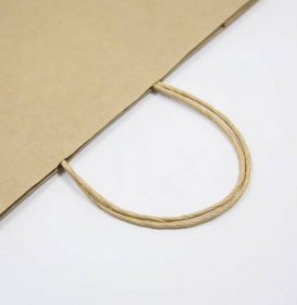 Twisted Paper Handles for Eco-friendly Paper Bags - HDPK