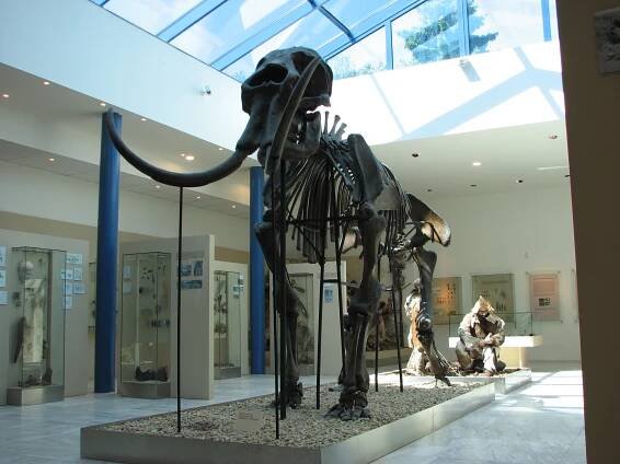 Pavilon Anthropos - info, ceník, otevírací doba