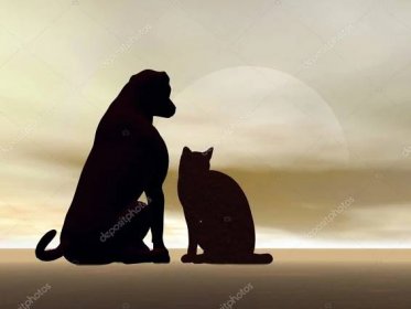 Kočka a pes - 3d vykreslení přátelství — Stock Fotografie © Elenarts #29362927