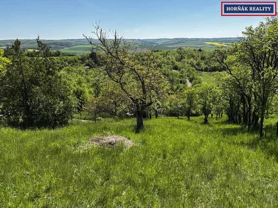 Prodej Pozemek, Jižní svahy, Bučovice, okres Vyškov