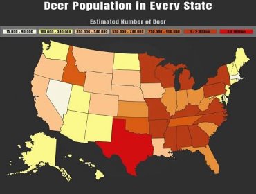 Deer Population by State: How Many Deer Are in the U.S.? - A-Z Animals