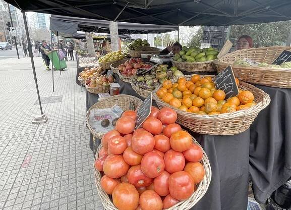 Santiago Chile luxury travel guide