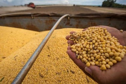 Bad weather knocks down Brazil’s grain production as ‘exhaustively forewarned’